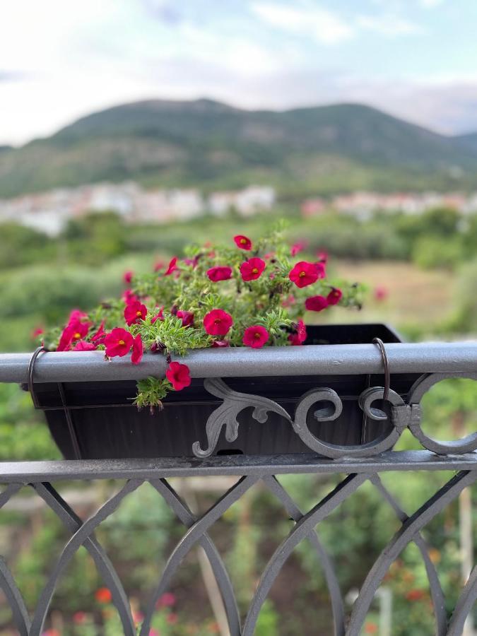 Apartamento Petivat Gardens Exterior foto