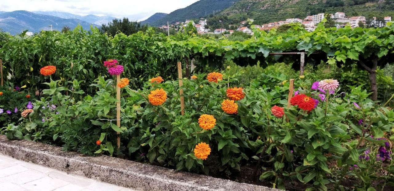 Apartamento Petivat Gardens Exterior foto